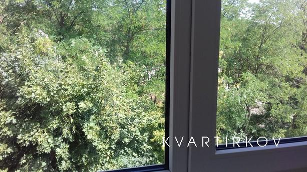 Однокомнатная квартира  в Курортной зоне, Ессентуки - квартира посуточно