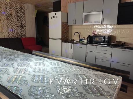 house for rent, Kyiv - apartment by the day
