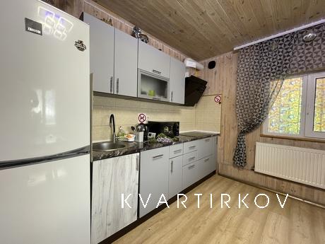 house for rent, Kyiv - apartment by the day