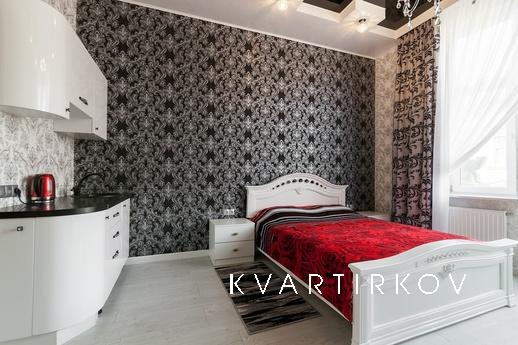 Designer Studio for Dudayev, Lviv - apartment by the day