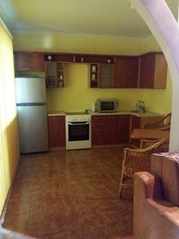 House for holidays and corporate parties, Kropyvnytskyi (Kirovohrad) - apartment by the day