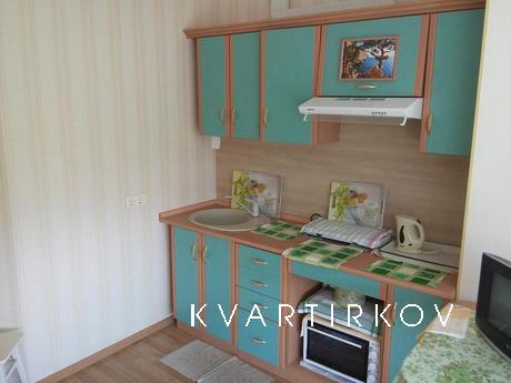 1 кімнатна квартира з панорамним видом, Чорноморськ (Іллічівськ) - квартира подобово