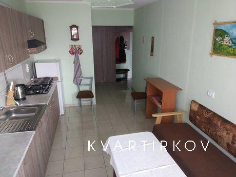 1 bedroom apartment in the center, Ivano-Frankivsk - apartment by the day