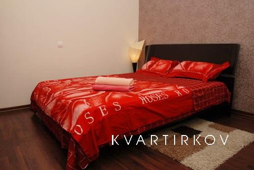Daily apartment in the city center, Yekaterinburg - apartment by the day