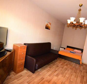 Cozy 1 bedroom apartment 5 minutes walk from metro Alekseevs
