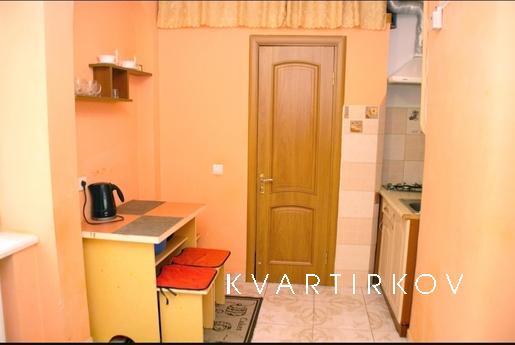 Short term apartment in the city center, Lviv - apartment by the day
