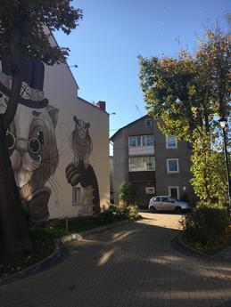 Daily Volodarsky, 1, Zelenogradsk - apartment by the day