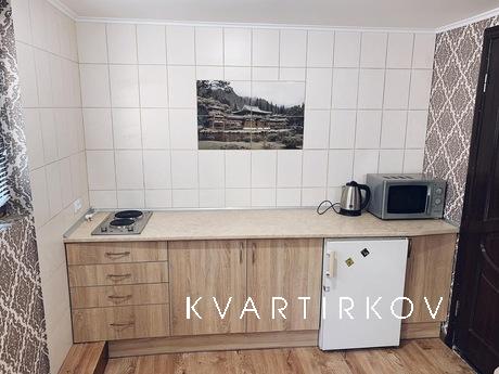 Rent one-room apartment, Berehovo - apartment by the day