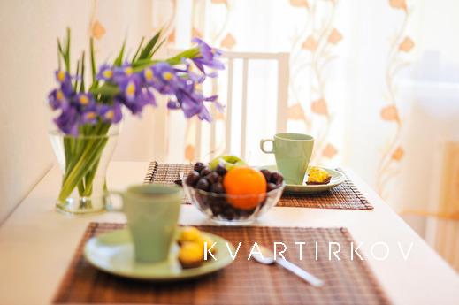 Careful one-bedroom apartment, Yekaterinburg - apartment by the day