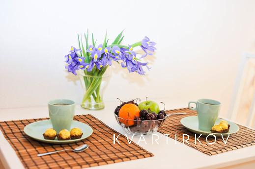 Careful one-bedroom apartment, Yekaterinburg - apartment by the day