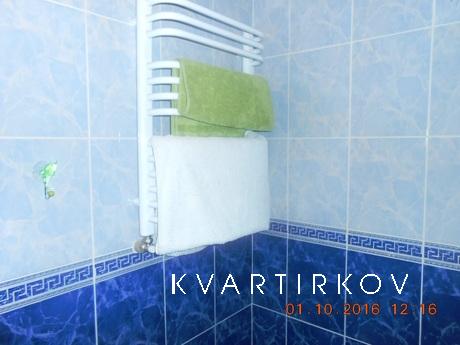 Cozy apartment only for you!, Ivano-Frankivsk - apartment by the day