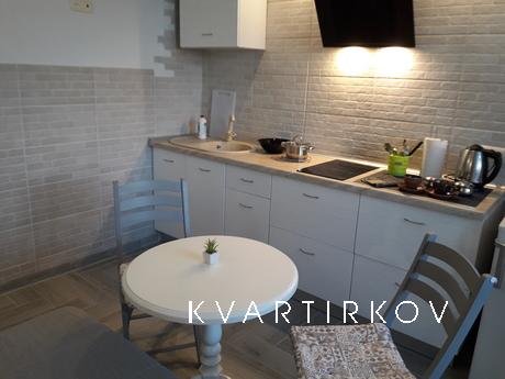 Chic New Building Center m.Gagarina1min, Kharkiv - apartment by the day