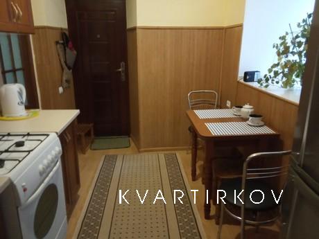 Cozy apartment in the city center, Lviv - apartment by the day