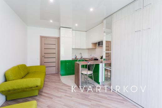 Modern studio apartment with kitchen, Kyiv - apartment by the day