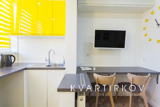 Modern studio apartment with kitchen, Kyiv - apartment by the day