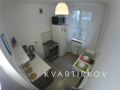 Gagarin Apartment, Moscow - apartment by the day