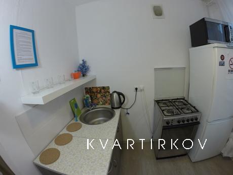 Gagarin Apartment, Moscow - apartment by the day