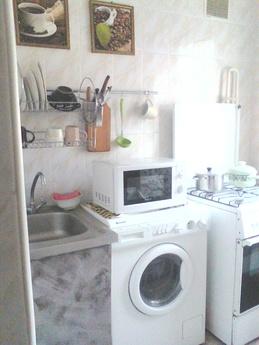 1 bedroom apartment near the metro, Kyiv - apartment by the day