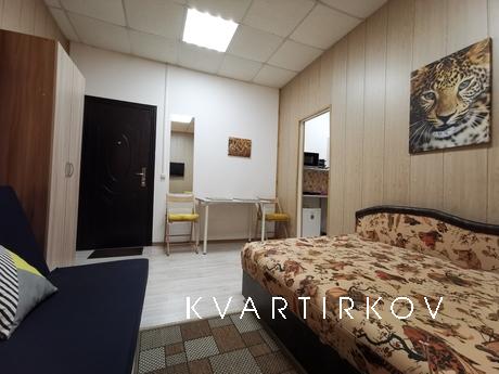 Apart-Studio (4-bed) Petrogradskaya, Санкт-Петербург - квартира подобово