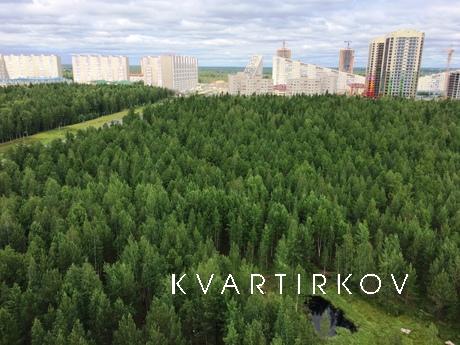 Большая двухкомнатная квартира, Сургут - квартира посуточно