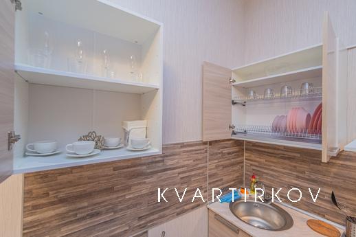 Great studio without intermediaries, Saint Petersburg - apartment by the day