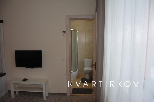 Double Room with Shower, Yaremcha - apartment by the day