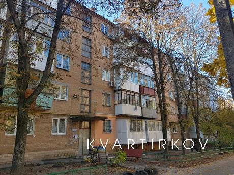 Spacious apartment on st. Telman, Kropyvnytskyi (Kirovohrad) - apartment by the day