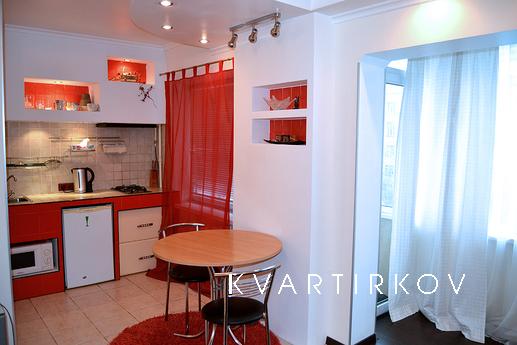 Beautiful studio in the center of Antono, Kyiv - apartment by the day