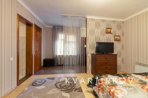 Cozy 1 bedroom apartment in Lviv, Lviv - apartment by the day