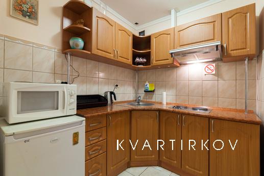 Cozy 1 bedroom apartment in Lviv, Lviv - apartment by the day