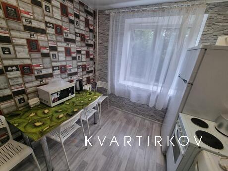 1-room apartment Green 6, Zlatoust - apartment by the day
