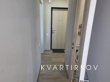 1-room apartment 3rd microdistrict 24, Zlatoust - apartment by the day
