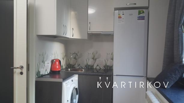 Studio apartment in a private house, Санкт-Петербург - квартира подобово