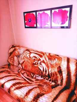 Просторная квартира в центре !!!, Нижнекамск - квартира посуточно