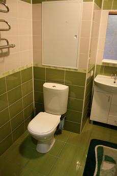 1 комнатная квартира посуточно, Фрязино - квартира посуточно