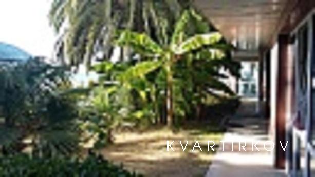 Квартира на берегу моря в центре Сочи, Сочи - квартира посуточно