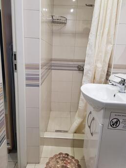 Quiet apartment in the center, Chernivtsi - apartment by the day