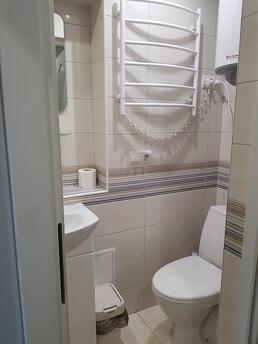 Quiet apartment in the center, Chernivtsi - apartment by the day