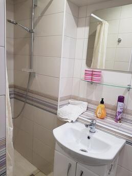 Quiet apartment in the center, Chernivtsi - apartment by the day