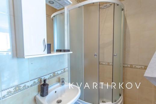 Уютная и удобная 1к квартира Крещатик, Киев - квартира посуточно