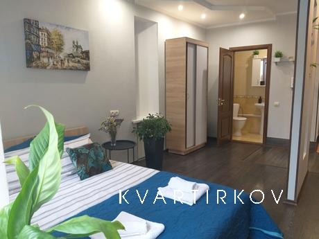 Уютная и удобная 1к квартира Крещатик, Киев - квартира посуточно