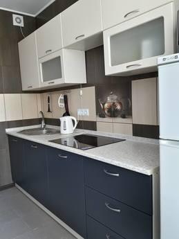 Studio apartment in Darnitskiy district, Kyiv - apartment by the day