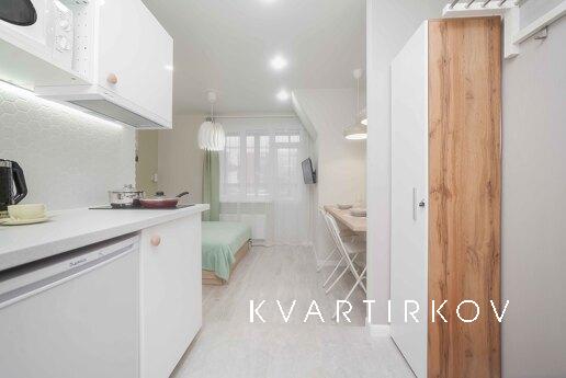 Cozy studio on Avtozavodskaya, Moscow - apartment by the day