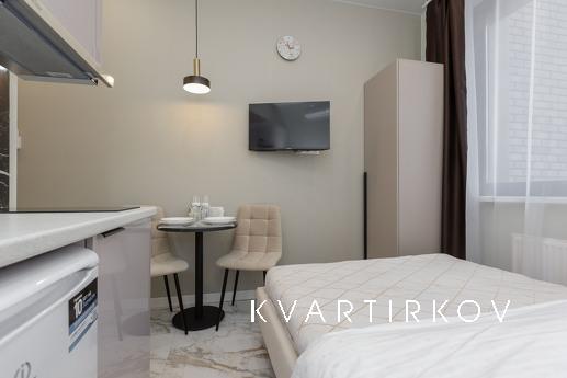 Newly renovated studio apartment for rent in the modern Main