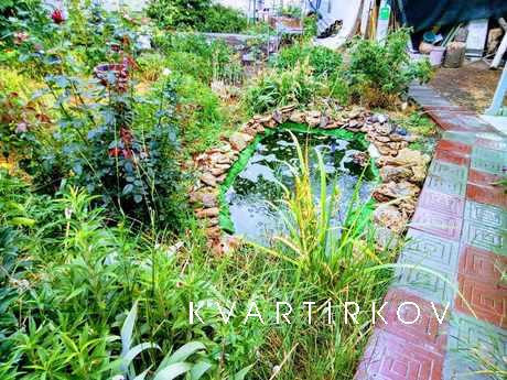 Сдам комнату у моря. Отдельный вход, Одесса - квартира посуточно