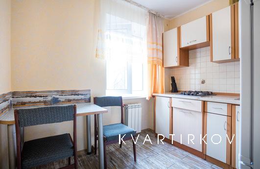 Cozy euro metro Darnitsa 1 bedroom, Kyiv - apartment by the day