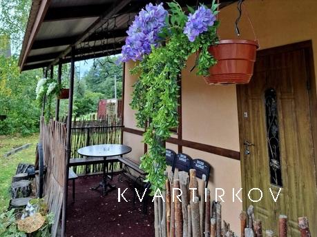 Guest dіm 'Pіsnya Karpat', Skole - apartment by the day
