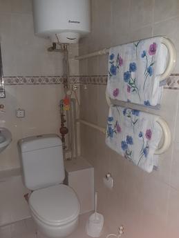 Rent one-room apartment in Berdyansk, Berdiansk - apartment by the day