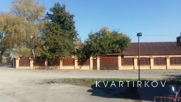 House for rent in the city of Mirgorod, Mirgorod - apartment by the day