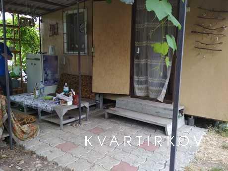 The dacha plot is located a 15-minute walk from the sea (SOG